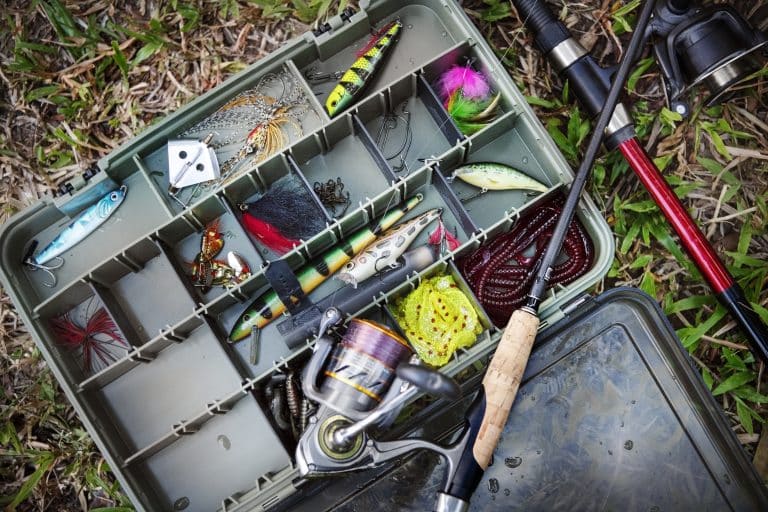 fishing